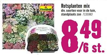Aanbiedingen Rotsplanten mix - FloraSelf - Geldig van 30/03/2020 tot 26/04/2020 bij Hornbach