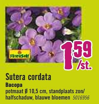 Aanbiedingen Sutera cordata bacopa - FloraSelf - Geldig van 30/03/2020 tot 26/04/2020 bij Hornbach