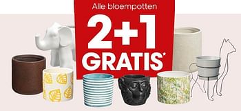 Aanbiedingen Alle bloempotten 2+1 gratis - Huismerk - Kwantum - Geldig van 27/04/2020 tot 10/05/2020 bij Kwantum