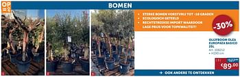 Aanbiedingen Olijfboom olea europaea basico 25l - Geldig van 04/05/2020 tot 25/05/2020 bij Zelfbouwmarkt
