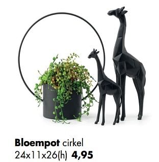 Aanbiedingen Bloempot cirkel - Huismerk - Multi Bazar - Geldig van 11/05/2020 tot 01/06/2020 bij Multi Bazar