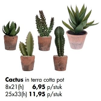 Aanbiedingen Cactus in terra cotta pot - Huismerk - Multi Bazar - Geldig van 11/05/2020 tot 01/06/2020 bij Multi Bazar