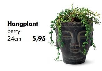 Aanbiedingen Hangplant berry - Huismerk - Multi Bazar - Geldig van 11/05/2020 tot 01/06/2020 bij Multi Bazar