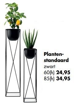 Aanbiedingen Plantenstandaard - Huismerk - Multi Bazar - Geldig van 11/05/2020 tot 01/06/2020 bij Multi Bazar