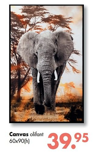 Aanbiedingen Canvas olifant - Huismerk - Multi Bazar - Geldig van 11/05/2020 tot 01/06/2020 bij Multi Bazar