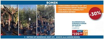 Aanbiedingen Olijfboom olea europaea florida salvaje - Geldig van 26/05/2020 tot 22/06/2020 bij Zelfbouwmarkt