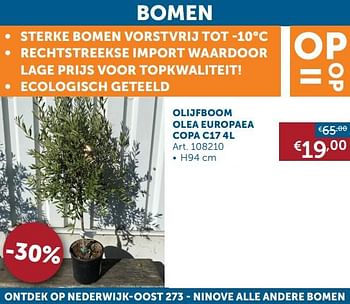 Aanbiedingen Bomen olijfboom olea europaea copa c17 - Geldig van 18/08/2020 tot 21/09/2020 bij Zelfbouwmarkt