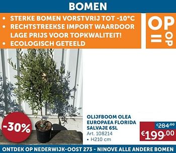 Aanbiedingen Bomen olijfboom olea europaea florida salvaje - Geldig van 18/08/2020 tot 21/09/2020 bij Zelfbouwmarkt