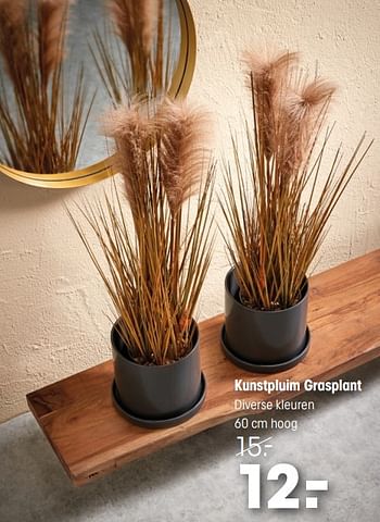 Aanbiedingen Kunstpluim grasplant - Huismerk - Kwantum - Geldig van 17/08/2020 tot 30/08/2020 bij Kwantum