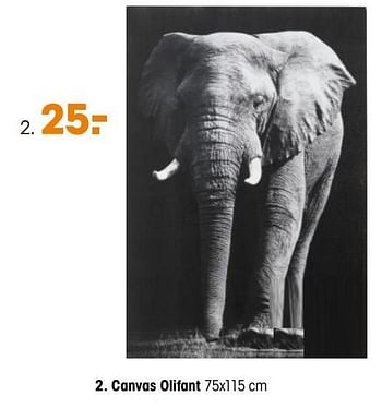 Aanbiedingen Canvas olifant - Huismerk - Kwantum - Geldig van 31/08/2020 tot 13/09/2020 bij Kwantum