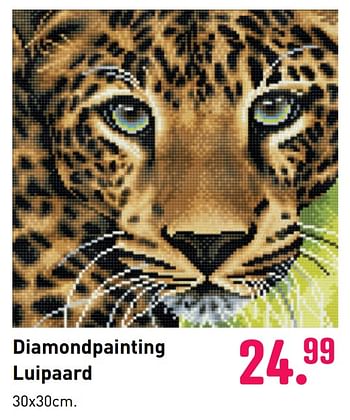 Aanbiedingen Diamondpainting luipaard - Rainbow Loom - Geldig van 04/10/2020 tot 06/12/2020 bij Multi Bazar