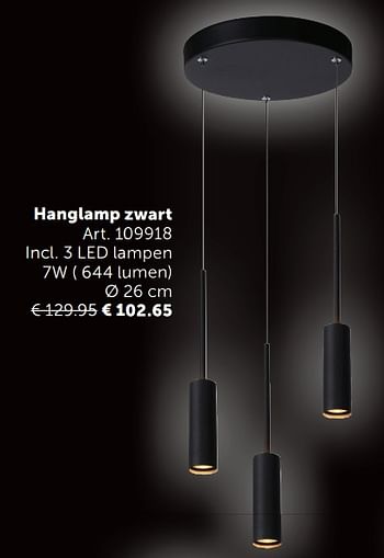 Aanbiedingen Hanglamp zwart - Geldig van 03/11/2020 tot 30/11/2020 bij Zelfbouwmarkt