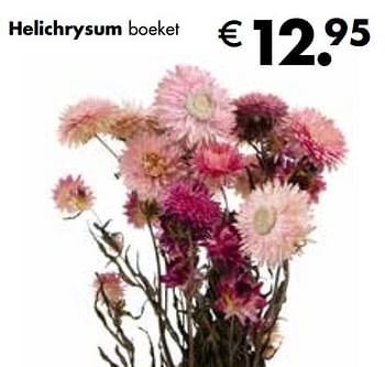 Aanbiedingen Helichrysum boeket - Huismerk - Multi Bazar - Geldig van 02/11/2020 tot 30/11/2020 bij Multi Bazar