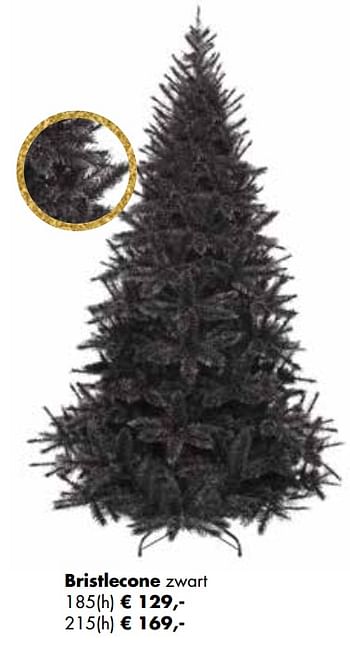 Aanbiedingen Bristlecone zwart - Huismerk - Multi Bazar - Geldig van 02/11/2020 tot 30/11/2020 bij Multi Bazar