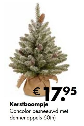 Aanbiedingen Kerstboompje concolor besneeuwd met dennenappels - Huismerk - Multi Bazar - Geldig van 02/11/2020 tot 30/11/2020 bij Multi Bazar