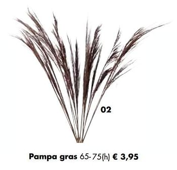 Aanbiedingen Pampa gras - Huismerk - Multi Bazar - Geldig van 02/11/2020 tot 30/11/2020 bij Multi Bazar