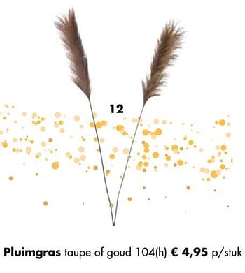 Aanbiedingen Pluimgras taupe of goud - Huismerk - Multi Bazar - Geldig van 02/11/2020 tot 30/11/2020 bij Multi Bazar