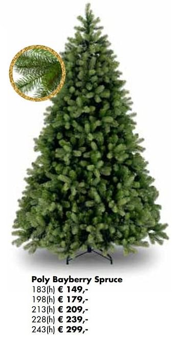 Aanbiedingen Poly bayberry spruce - Huismerk - Multi Bazar - Geldig van 02/11/2020 tot 30/11/2020 bij Multi Bazar