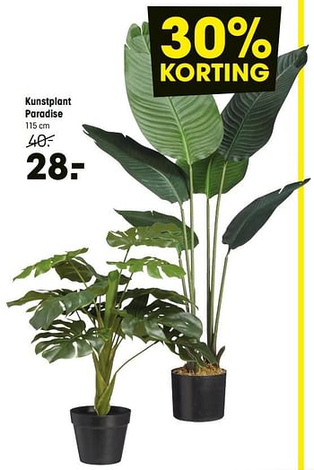 Aanbiedingen Kunstplant paradise - Huismerk - Kwantum - Geldig van 04/01/2021 tot 17/01/2021 bij Kwantum
