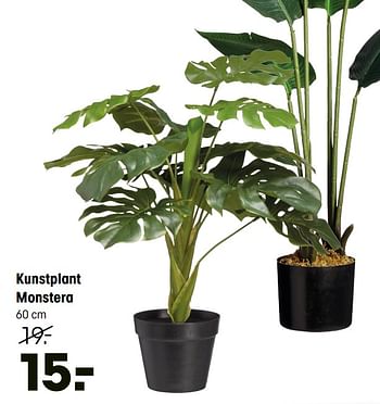 Aanbiedingen Kunstplant monstera - Huismerk - Kwantum - Geldig van 18/01/2021 tot 31/01/2021 bij Kwantum