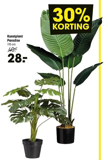 Aanbiedingen Kunstplant paradise - Huismerk - Kwantum - Geldig van 18/01/2021 tot 31/01/2021 bij Kwantum
