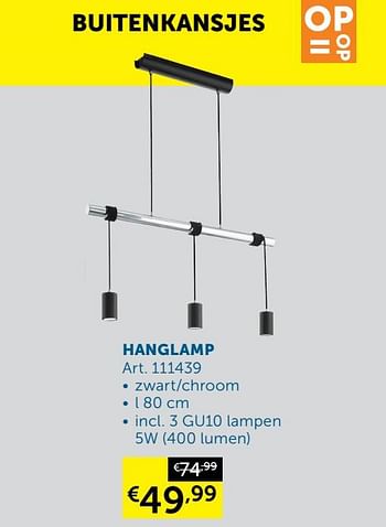 Aanbiedingen Hanglamp - Geldig van 26/01/2021 tot 01/03/2021 bij Zelfbouwmarkt