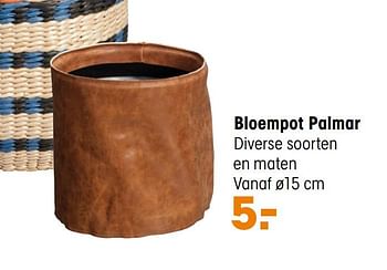 Aanbiedingen Bloempot palmar - Huismerk - Kwantum - Geldig van 15/02/2021 tot 28/02/2021 bij Kwantum