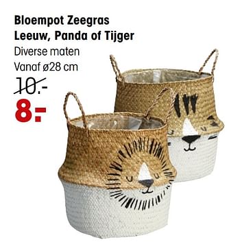 Aanbiedingen Bloempot zeegras leeuw, panda of tijger - Huismerk - Kwantum - Geldig van 01/03/2021 tot 14/03/2021 bij Kwantum