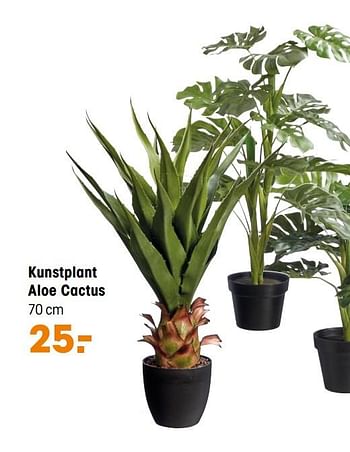 Aanbiedingen Kunstplant aloe cactus - Huismerk - Kwantum - Geldig van 01/03/2021 tot 14/03/2021 bij Kwantum