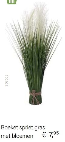 Aanbiedingen Boeket spriet gras met bloeme - Huismerk - Multi Bazar - Geldig van 14/03/2021 tot 31/05/2021 bij Multi Bazar