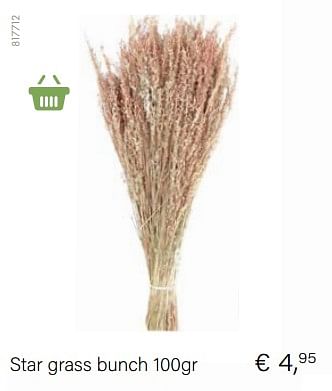 Aanbiedingen Star grass bunch 100gr - Huismerk - Multi Bazar - Geldig van 14/03/2021 tot 31/05/2021 bij Multi Bazar