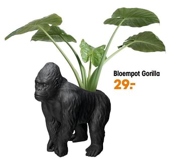 Aanbiedingen Bloempot gorilla - Huismerk - Kwantum - Geldig van 15/03/2021 tot 31/03/2021 bij Kwantum
