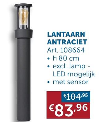 Aanbiedingen Lantaarn antraciet - Geldig van 30/03/2021 tot 26/04/2021 bij Zelfbouwmarkt