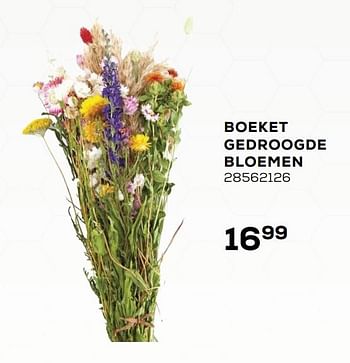 Aanbiedingen Boeket gedroogde bloemen - Huismerk - Supra Bazar - Geldig van 20/04/2021 tot 25/05/2021 bij Supra Bazar