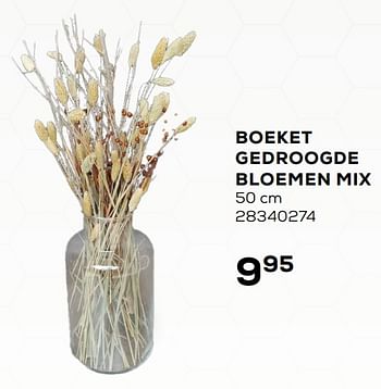 Aanbiedingen Boeket gedroogde bloemen mix - Huismerk - Supra Bazar - Geldig van 20/04/2021 tot 25/05/2021 bij Supra Bazar