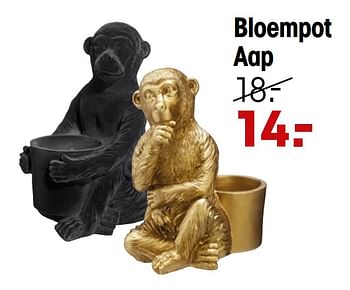 Aanbiedingen Bloempot aap - Huismerk - Kwantum - Geldig van 10/05/2021 tot 23/05/2021 bij Kwantum