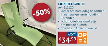 Aanbiedingen Ligzetel groen - Geldig van 25/05/2021 tot 21/06/2021 bij Zelfbouwmarkt