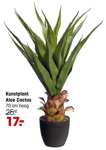 Aanbiedingen Kunstplant aloe cactus - Huismerk - Kwantum - Geldig van 24/05/2021 tot 06/06/2021 bij Kwantum