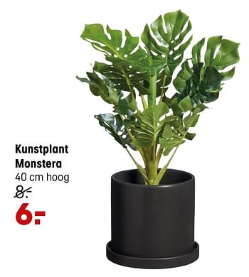 Aanbiedingen Kunstplant monstera - Huismerk - Kwantum - Geldig van 24/05/2021 tot 06/06/2021 bij Kwantum
