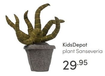 Aanbiedingen Kidsdepot plant sanseveria - KidsDepot  - Geldig van 30/05/2021 tot 05/06/2021 bij Baby & Tiener Megastore
