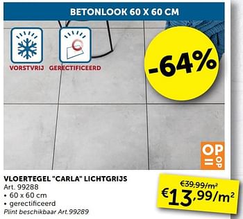 Aanbiedingen Vloertegel carla lichtgrijs - Geldig van 29/06/2021 tot 26/07/2021 bij Zelfbouwmarkt