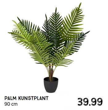 Aanbiedingen Palm kunstplant - Huismerk - Xenos - Geldig van 21/06/2021 tot 04/07/2021 bij Xenos