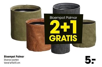 Aanbiedingen Bloempot palmar - Huismerk - Kwantum - Geldig van 19/07/2021 tot 08/08/2021 bij Kwantum