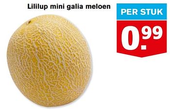 Aanbiedingen Lililup mini galia meloen - Huismerk - Hoogvliet - Geldig van 21/07/2021 tot 27/07/2021 bij Hoogvliet