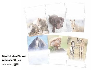 Aanbiedingen 6 tabbladen din a4 animals - cities - Huismerk - Supra Bazar - Geldig van 03/08/2021 tot 07/09/2021 bij Supra Bazar