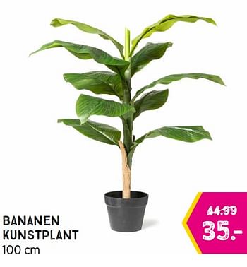 Aanbiedingen Bananen kunstplant - Huismerk - Xenos - Geldig van 23/08/2021 tot 05/09/2021 bij Xenos