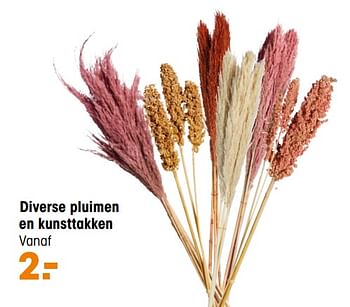 Aanbiedingen Diverse pluimen en kunsttakken - Huismerk - Kwantum - Geldig van 06/09/2021 tot 12/09/2021 bij Kwantum