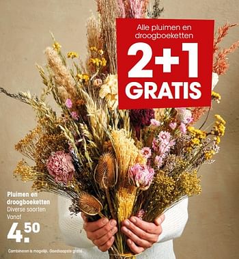 Aanbiedingen Pluimen en droogboeketten - Huismerk - Kwantum - Geldig van 20/09/2021 tot 03/10/2021 bij Kwantum