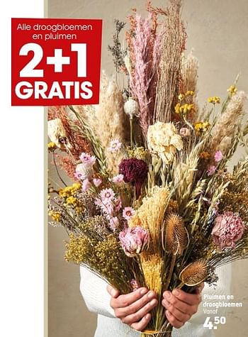 Aanbiedingen Pluimen en droogbloemen - Huismerk - Kwantum - Geldig van 04/10/2021 tot 17/10/2021 bij Kwantum