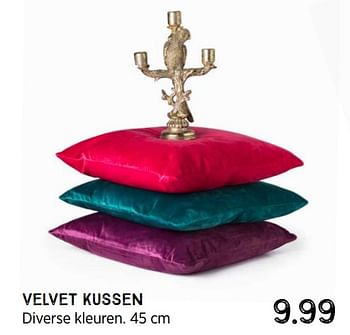 Aanbiedingen Velvet kussen - Huismerk - Xenos - Geldig van 04/10/2021 tot 17/10/2021 bij Xenos